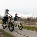 Badger Electric Scooter