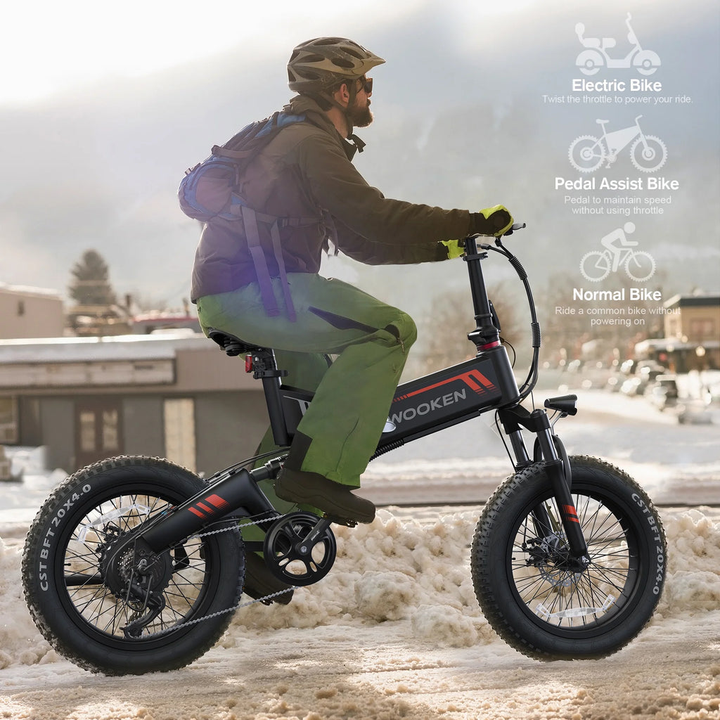 20"X4.0 Fat Tire Electric Bike for Adults, 500W Foldable Electric Bicycle with 48V 10Ah Built-In Battery, Shimano 7 Speed, Dual Shock Absorber