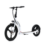 Badger Electric Scooter