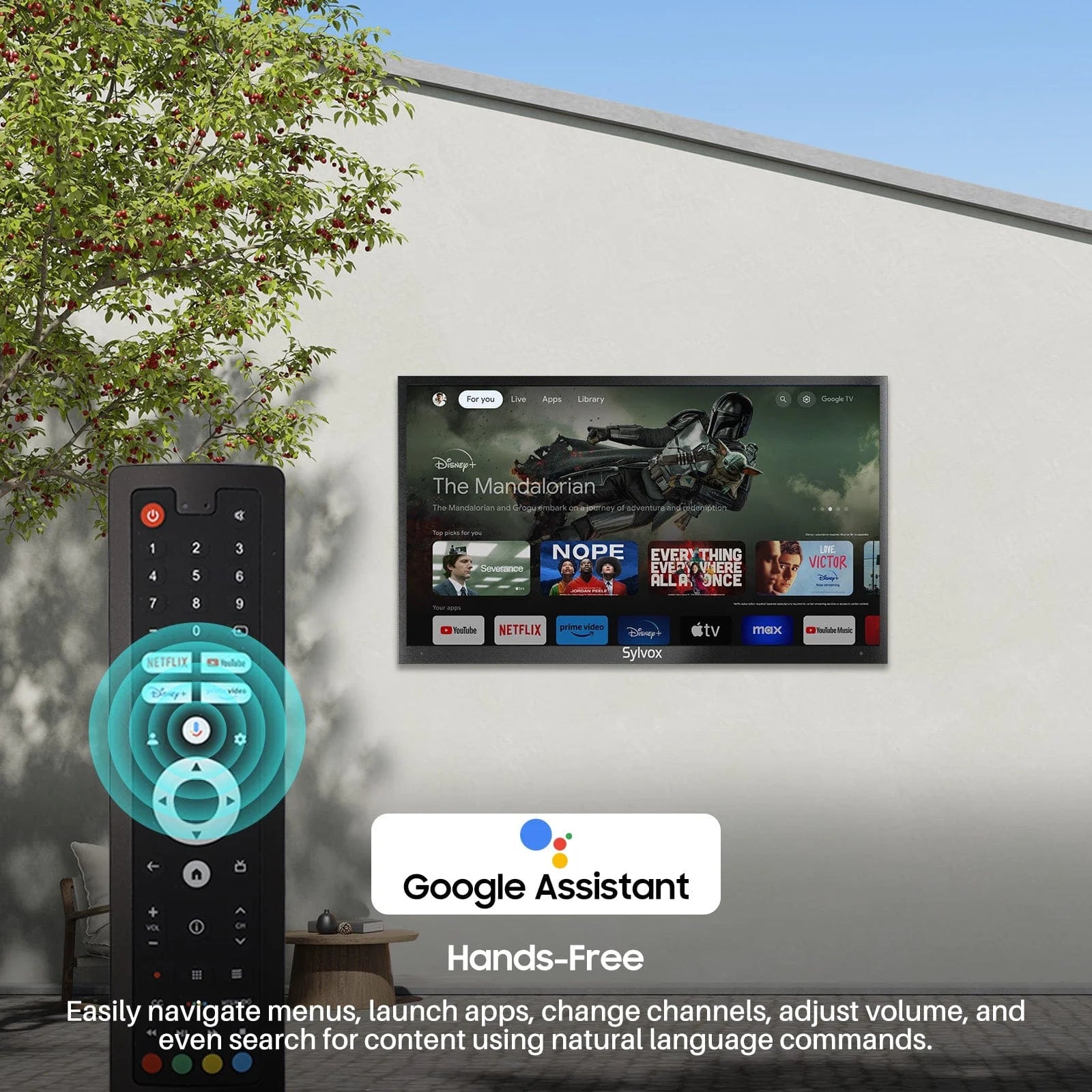 55" Outdoor Tv(Google TV) - 2024 Deck Pro 2.0