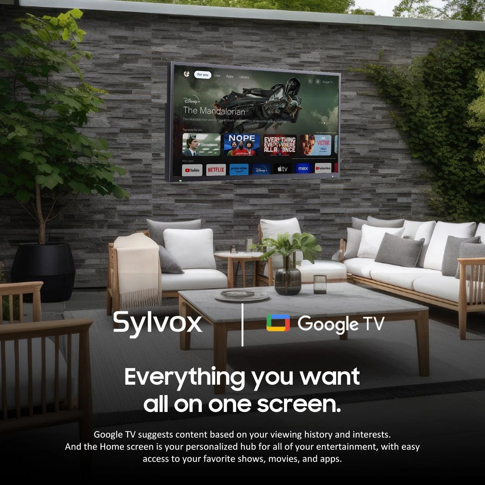 55" Outdoor Tv(Google TV) - 2024 Deck Pro 2.0